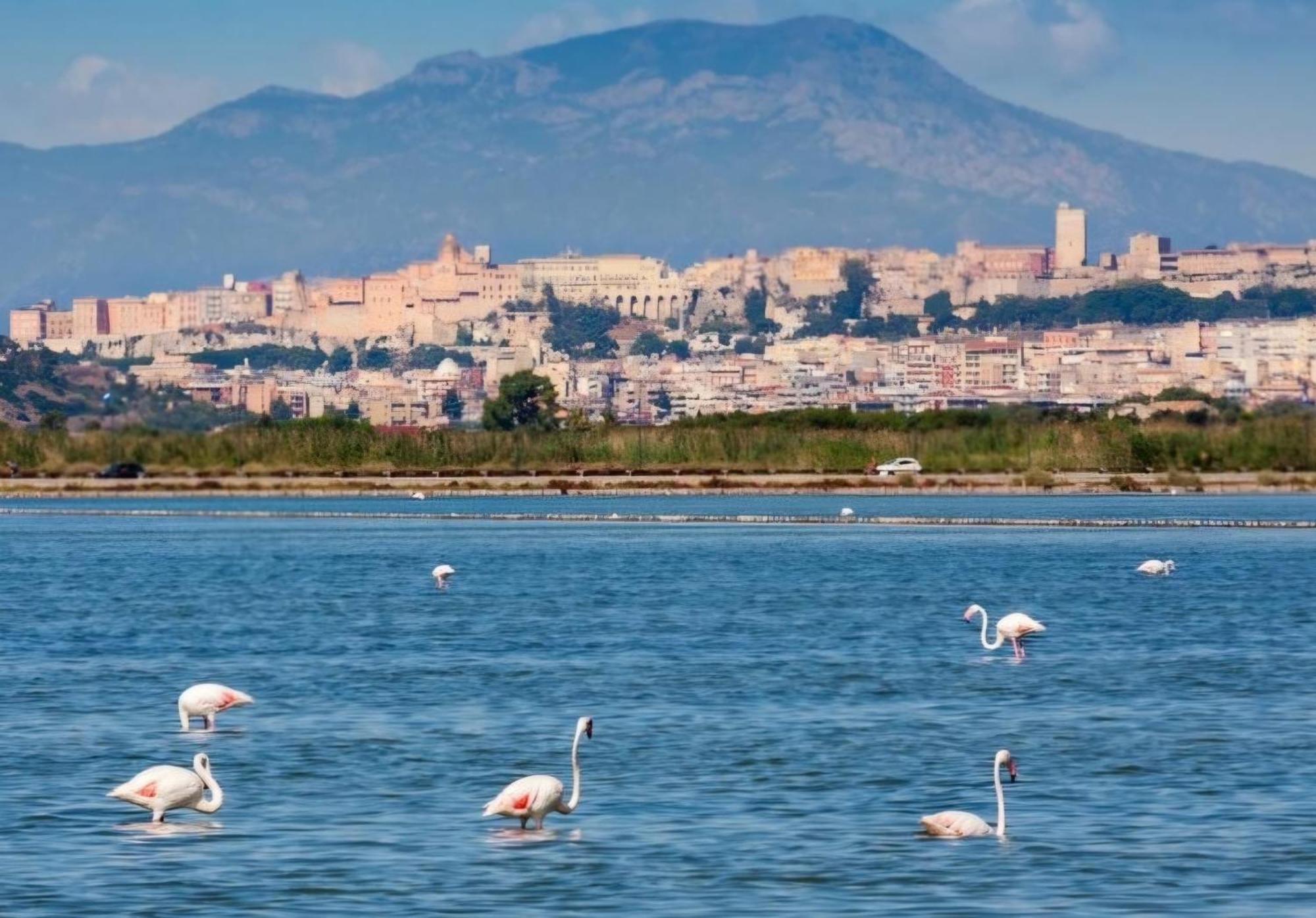 Poetto Parkside Apartment